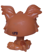#1407 Yorkshire Terrier